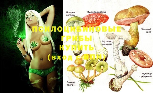 таблы Абаза