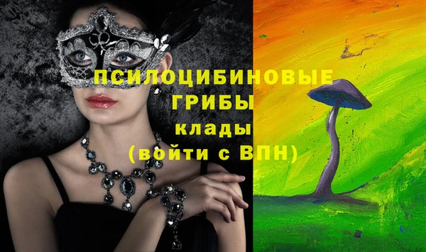 бутират Переславль-Залесский
